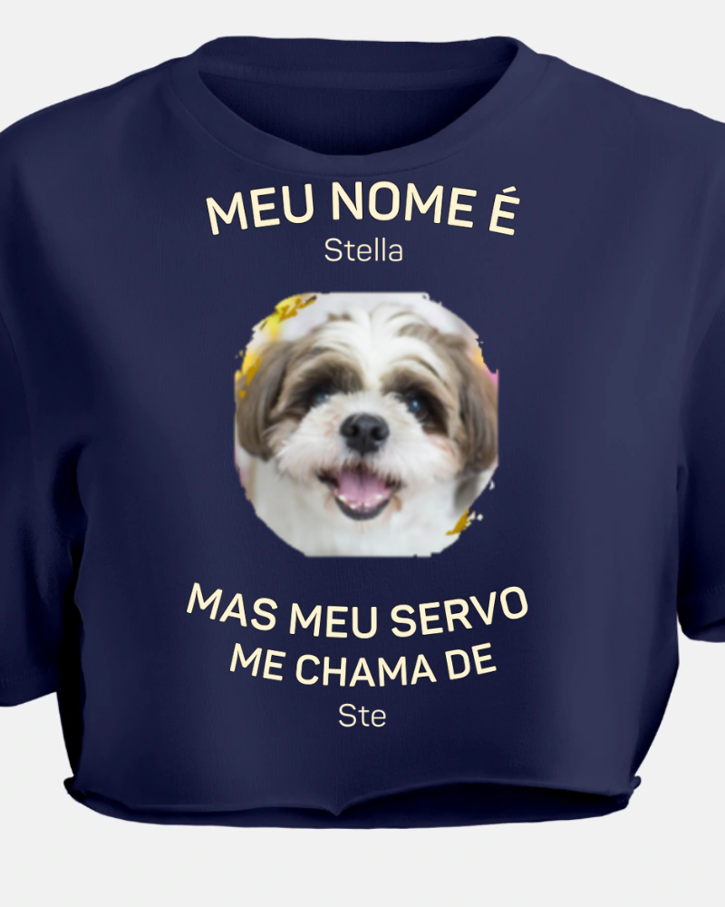 Meu Dono Me Chama De - Cropped e Regata